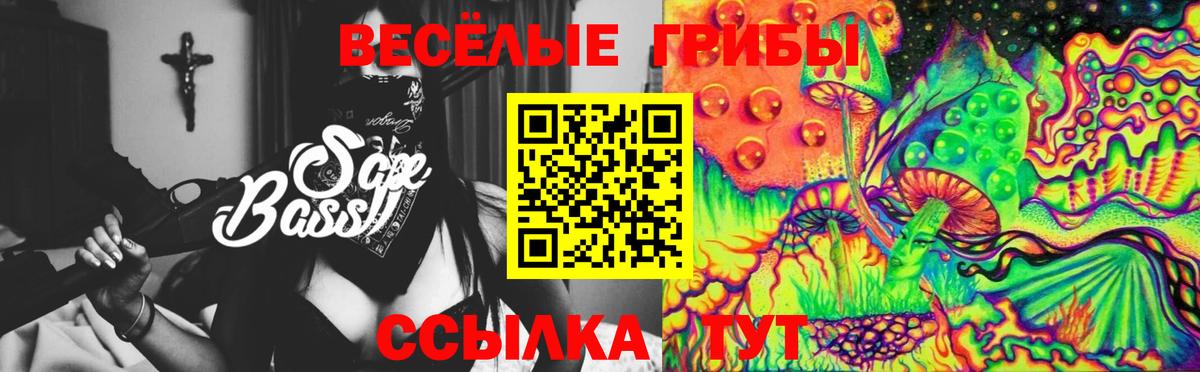 Галлюциногенные грибы Cubensis Грозный